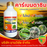 คาร์เบนดาซิม (carbendazim) 50% SC ขนาด 1 ลิตร ป้องกันกำจัดโรคพืช เช่น โรคใบไหม้,โรคกาบใบแห้ง โรคใบจุดสีน้ำตาล โรคราแป้ง