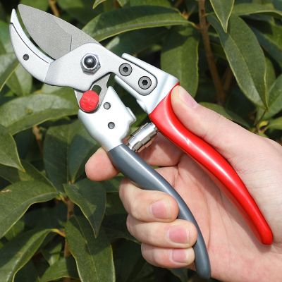 AIRAJ 7/8 Plant Trimming Hand Shear Orchard Pruning Pruner Cut Secateur Shrub Garden Scissor Tools Anvil Branches