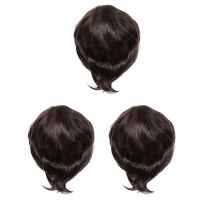 3X Fashion Mens Wig Short Straight High Temperature Silk Synthetic Wig Full Wigs/Artistic Men Brown Black Wigs for Men