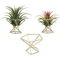 ✗✈❣ 3 Pcs Geometric Air Plant Holder Airplants Rack Metal Plants Stand Planter Shelves Himmeli Decor Tillandsia Containers