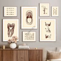 【CW】 Teeth Medicine Posters And Print Abstract Wall Pictures Canvas Painting Hospital Room