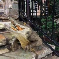 1 Piece Crocodile Head Courtyard Pond Floating Animal Ornaments Park Pool Simulation Ornaments Crocodile Ornaments