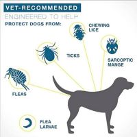 ปลอกคอเห็บหมัดกันยุงสำหรับสุนัขและแมวอายุ8เดือนใช้ไล่ยุงได้อย่างมีประสิทธิภาพ
