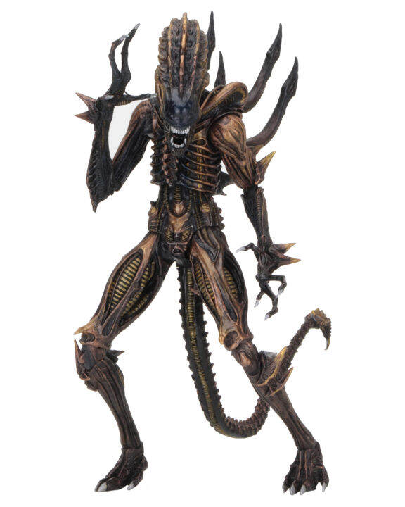 figma-ฟิกม่า-figure-action-จากหนังดัง-neca-aliens-scorpion-alien-7-series-13-เอเลี่ยน-ฝูงมฤตยูนอกโลก-ver-แอ็คชั่น-ฟิกเกอร์-anime-อนิเมะ-การ์ตูน-มังงะ-ของขวัญ-gift-จากการ์ตูนดังญี่ปุ่น-สามารถขยับได้-do