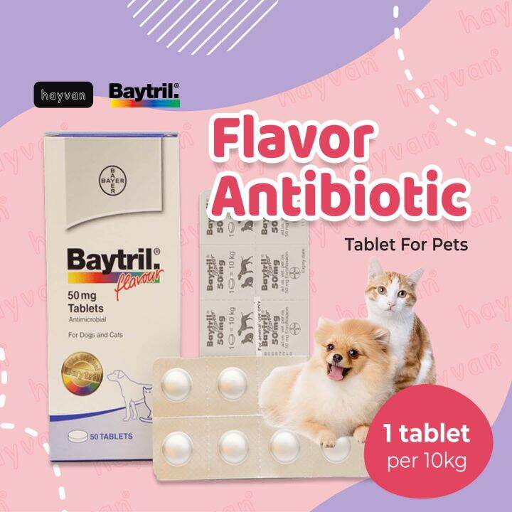 BAYTRIL 50mg Flavor Antibiotic Tablet for Pets Lazada PH