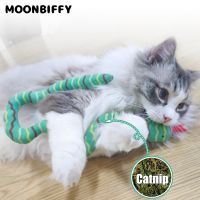 【CW】 Teaser Interactive Chewing Playing Catnip Bite Resistant Juguetes Para Gatos Accesorios