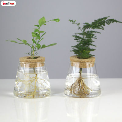 ScottK พืช Hydroponic แจกันแก้ว S แจกันแก้วตารางโปร่งใสย้อนยุคสำหรับพืชไฮโดรโปนิกส์ในร่ม