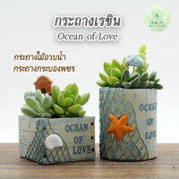 กระถางเรซิน Ocean Of Love กระถางดาว หอย แคตตัส ไม้อวบน้ำ กระถางเล็ก กระต้นต้นไม้เล็ก แต่ร้าน ของแต่งบ้าน ทะเล