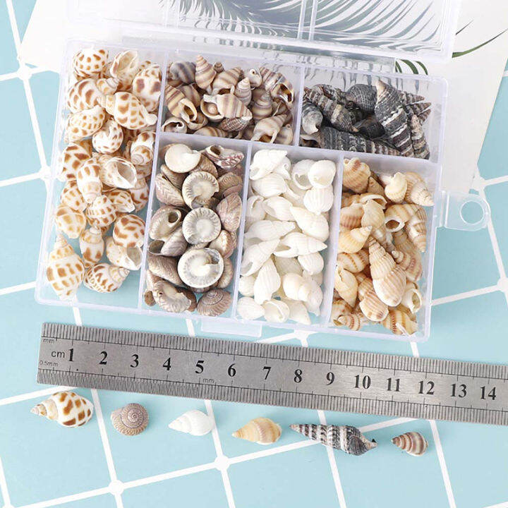 ck-about-100pcs-box-natural-conch-shells-aquarium-landscape-seashells-crafts-decor