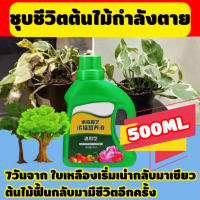 ผงเร่งรากพืช ผงเร่งราก ผงเร่งรากคอมโบ น้ำยาเร่งราก ยาเร่งราก 500ML อุดมไปด้วยธาตุจำนวนมาก ส่งเสริมการเจริญเติบโตของรากพืชแก้ปัญหาเช