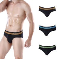 3pcs Men Underwear Briefs Underpants Slip Man Triangular Trunks Cotton Mens Panties Pack Male Intimate Shorts Underpanties