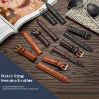 ✓✼﹉ Watch Strap Calfskin Genuine Leather Soft Replacement Wristband Four-Color Buckle Optional Watch Accessories Factory Outlet