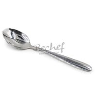 Tea Spoon(430) SSCT0211