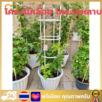 [พร้อมส่งในไทย] ปลายเปิด  โครงไม้เลื้อย โครงกุหลาบ ซุ้มกุหลาบ ซุ้มไม้ดอก ไม้ค้ำต้นไม้ ไม้ค้ำยัน ไม้หลัก เสาค้ำต้นไม้ เสามะเขือเทศ หลักไม้เลื้อย เสาไม้เลื้อย