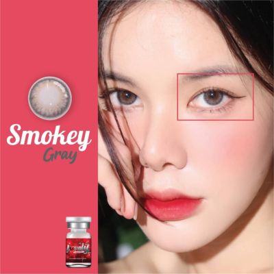 🔥ขายดีที่1 มีค่าสายตา🔥 Lovelylens Smoky Gray Brown บิ๊กอาย สุดปัง คอนแทคเลนส์ รายเดือน มีอย แถมตลับฟรี เลนส์นิ่ม สวยปังมาก