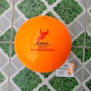 Bóng chuyền hơi 350g cao cấp