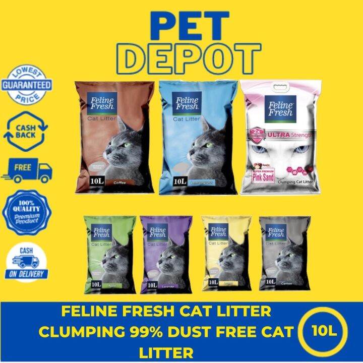 [BEST SELLER] Feline Fresh Cat Litter 10L Clumping 99 Dust Free Cat Litter Lazada PH
