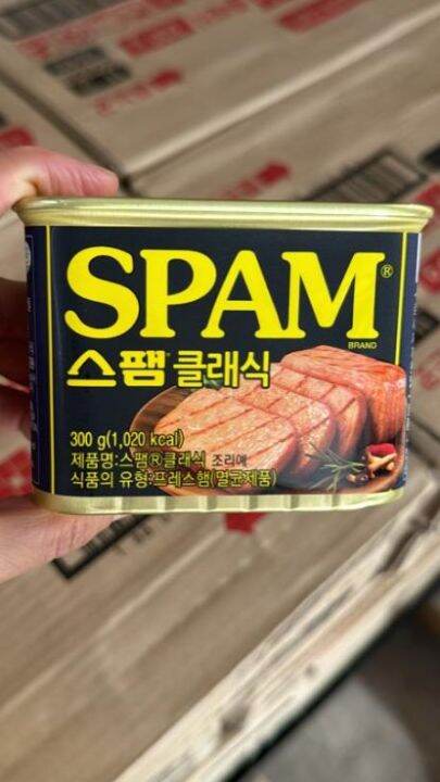 KOREA SPAM CLASSIC LUNCHEON MEAT 300G | Lazada