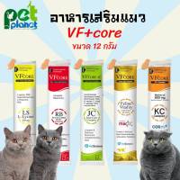 [12กรัม] อาหารเสริมแมว VFcore อาหารเสริม L-Lysine อาหารแมว ขนมแมว อาหารเสริมสำหรับ แมว สริมภูมิคุ้มกัน และบำรุงเลือด