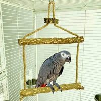 Pet Bird Toy Swing Macaw Hens Wood Stand Perch Cage Bird Training Stand Holder Chew Parrot Toy For Hens Medium Large Bird Toys