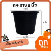 [ขั้นต่ำ15ใบ]กระถาง 8 นิ้ว อย่างดี พร้อมส่ง By.คิมเกษตรเงินล้าน