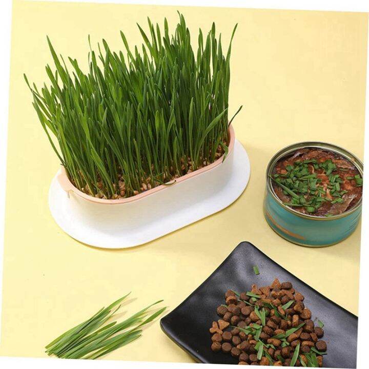 3pcs-home-planting-box-kit-sprouts-soil-free-pets-convenient-nursery-grower-soil-propagation