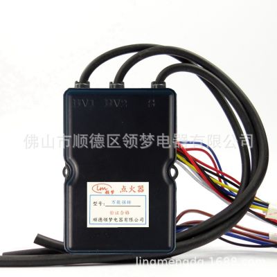 Gas Water Heater Repair Accessories Universal Strong Discharge Igniter Controller Multi-Maintenance Universal