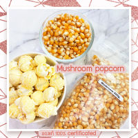 ป๊อปคอร์นมัชรูม เมล็ดข้าวโพดmushroom ข้าวโพดmushroom เมล็ดป๊อปคอร์นมัชรูม mushroom popcorn พร้อมส่งด่วน ขนาด500g.