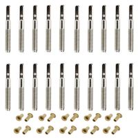 20 Pcs Lyre Harp Tuning Pin Nails with 20 Pcs Rivets Set for Lyre Harp Small Harp Musical Stringed Instrument