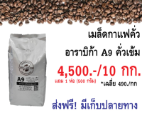 เมล็ดกาแฟคั่ว อาราบิก้าเกรด A คั่วเข้ม 10 กก. ราคา 4,500.- แถม 1 ห่อ (500 กรัม) ส่งฟรี มีเก็บปลายทาง