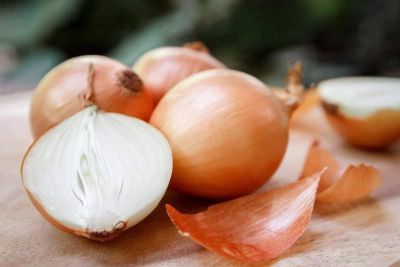 100 เมล็ด เมล็ดหอมหัวใหญ่ สายพันธุ์ หอมใหญ่ Petra F1 ของแท้ 100% อัตรางอก 70-80% Onion seeds มีคู่มือปลูก