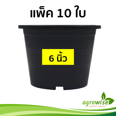 กระถาง กระถางต้นไม้พลาสติก กะถางต้นไม้ 10 ชิ้น 6 นิ้ว กระถางดำ สีดำ