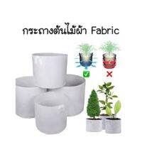 ถุงปลูกต้นไม้ ( Root Control Bag )  Non-woven fabric Grow bag  ถุงผ้าฟาบริคสีขาวสําหรับปลูกพืช / กระถางต้น พร้อมส่ง #PG06