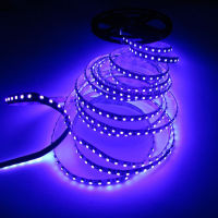 【☸2023 New☸】 na07037036036666 5เมตร3528ชิ้น/เมตร120 Uv สีขาวกันรั่ว Pcb แถบไฟ Led อัลตราไวโอเลต395nm Smd สีม่วง600 Dc12v แถบไฟแบบยืดหยุ่น Led