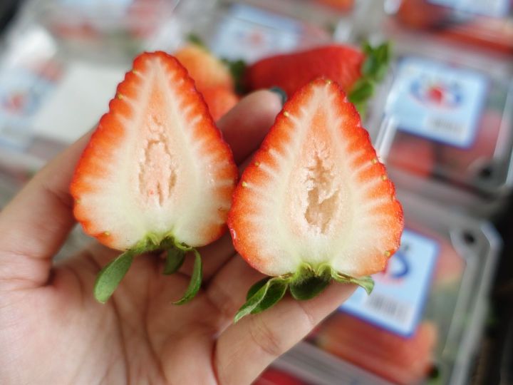 สตอเบอรี่-strawberry-นำเข้าจาก-usa-aus-korea-เกรดพรีเมี่ยม-premium-ราคา-1แพ็ค-250-กรัม