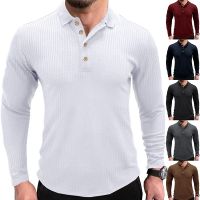 [COD] and winter new lapel long-sleeved solid polo mens cross-border foreign trade European T-shirt