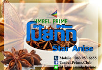 โป๊ยกั๊ก (Star-anise) ยี่ห้อ อัมเบล ไพร์ม ขนาด 250 กรัม