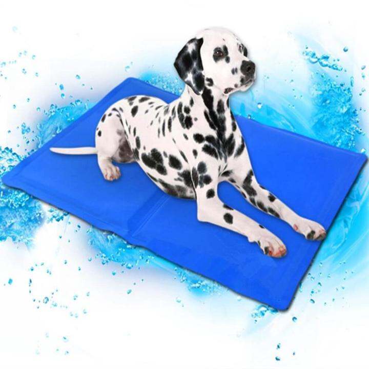 pet-cool-mat-ที่นอนเจลเย็นหมา-แผ่นเจลรองนอนหมา-แผ่นเจลเย็น-md-50cm-x-65cm