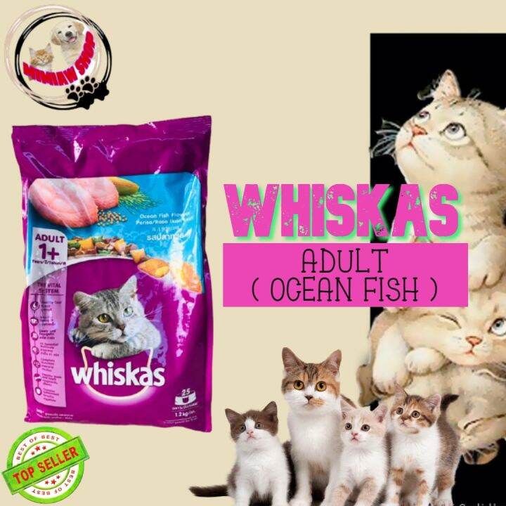 Whiskas Ocean Fish Dry Cat Food for Adult 1.2kg Lazada PH