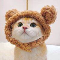 ✙ cat hat put teddy and commanding method of dog fighting funny headwear