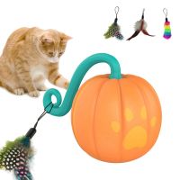 1Set Pet Toys Indoor Interactive Toys LED Two-Speed Noiseless Smart Toys Plastic