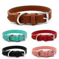 Affordable Dog Leather Collar Adjustable Accessories for Small Dogs Mascotas Supplies collier chien