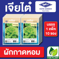 ผักซอง เจียไต๋ CT15 เมล็ดพันธุ์ พันธุ์ผัก ผักกาดหอม บรรจุแพ็คล่ะ 10 ซอง ราคา 70 บาท