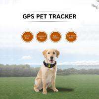 สุนัขแมว GPS ติดตามสัตว์เลี้ยง GPS ติดตามปลอกคออุปกรณ์ป้องกันการสูญหายเวลาจริงติดตาม L Ocator ปลอกคอสัตว์เลี้ยงที่มีไมค์ APP ฟรี