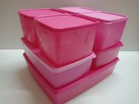 Tupperware ชุดครอบครัวเหมันต์