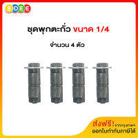 ชุดพุกตะกั่วพร้อมสกรู 1/4 จำนวน 4 ตัว/ชุด (มีสินค้าพร้อมส่งทันที)