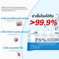 WRE ทิชชู่เปียก ✙☒♟พร้อมส่ง แอลกอฮอล์ 75% สูตรผสมแอลกฮอล์ กำจัดแบคทีเรียได้ 99.99% ห่อใหญ่ ห่อเล็กพกพาง่าย 10ห่อ ผ้าเปียก  กระดาษเปียก