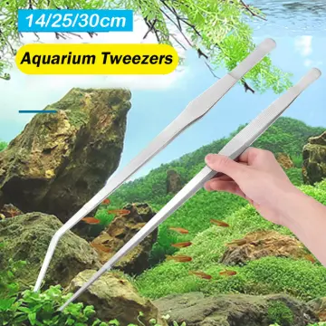 Reptile Feeding Tongs Stainless Steel Straight And Curved Tweezers