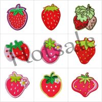 【hot sale】 ❁ B15 Fruit series strawberry patch DIY Sew/Iron on badges patches