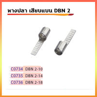 หางปลาเสียบแบบก้านไม้ขีดแบนเปลือย DBN 2 (ตัวผู้)